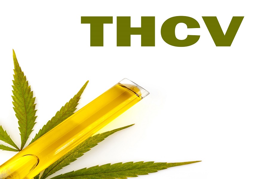 Why Should You Buy THCV- Its Benefits