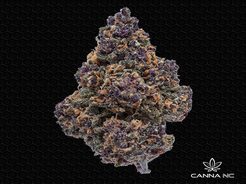 Various Things You Need to Know About Grand Daddy Purple Strain