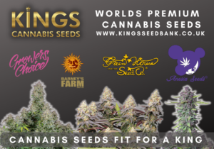 Exploring the Benefits of Autoflowering Cannabis Seeds in the UK